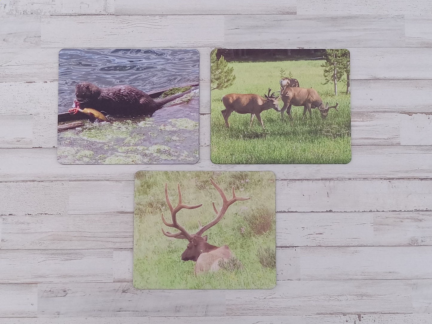 Mousepads
